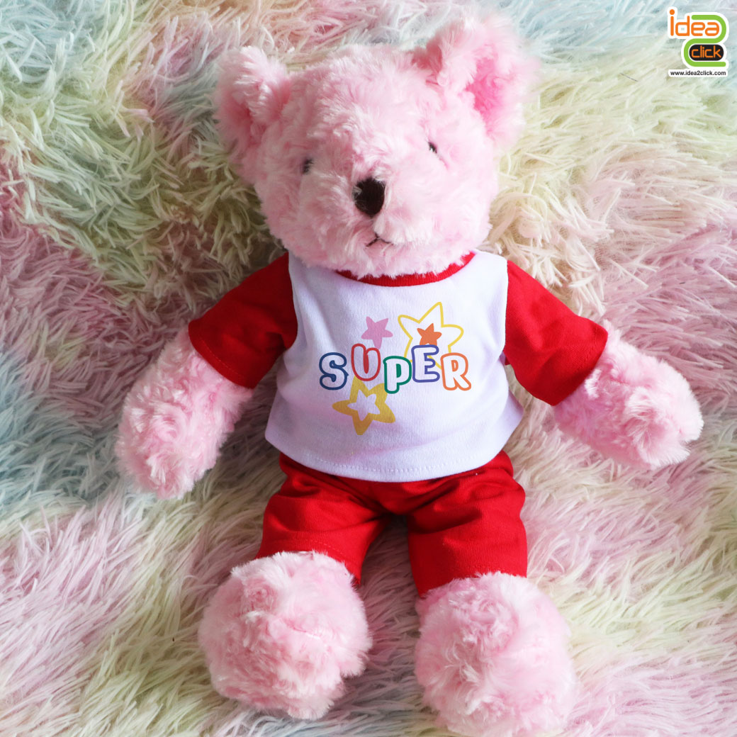 ตุ๊กตาหมี Teddy Bear ใส่เสื้อพิมพ์ลายได้ NEW!