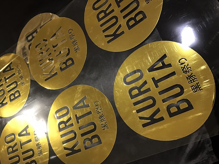 hot stamp ฟอยด์โฮโลแกรมรุ่นบางเฉียบ